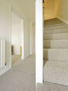 finished-basement-new-carpet